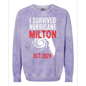 I Survived Hurricane Milton 2024 Colorblast Crewneck Sweatshirt