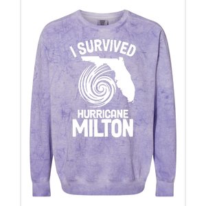 I Survived Hurricane Milton Florida Strong Colorblast Crewneck Sweatshirt