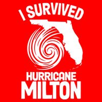 I Survived Hurricane Milton Florida Strong Long Sleeve Shirt