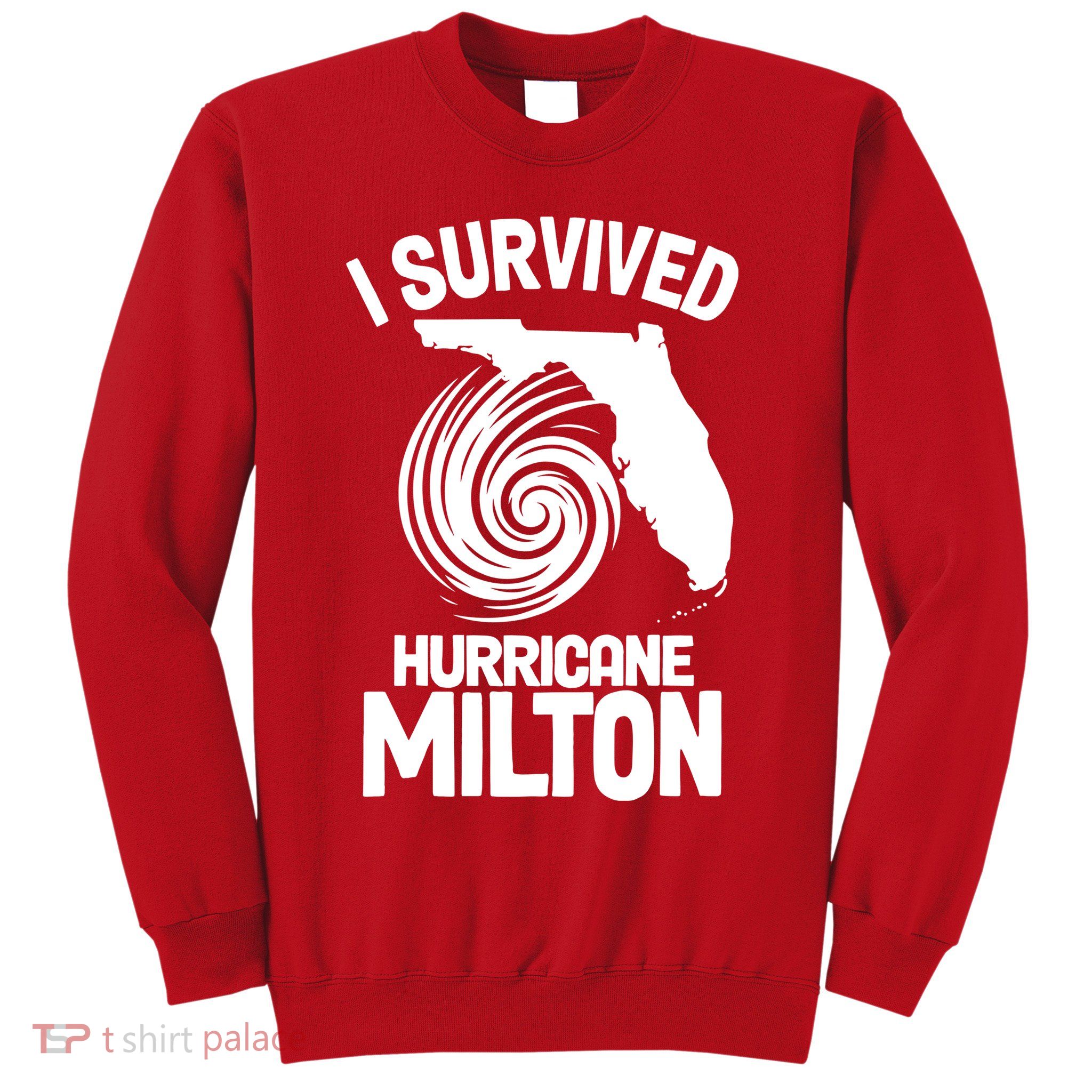 I Survived Hurricane Milton Florida Strong Sweatshirt