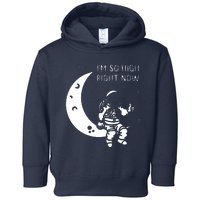 I'm So High Right Now Toddler Hoodie