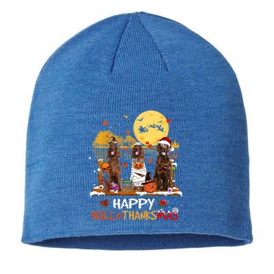 Irish Setter Happy Hallothanksmas Halloween Thanksgiving Funny Gift Sustainable Beanie