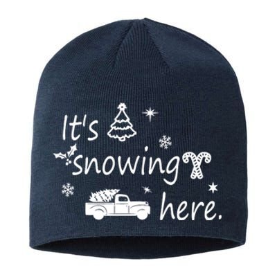 ItS Snowing Here. Sustainable Beanie