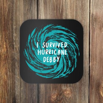 I Survived Hurricane Debby 2024 Florida Coaster