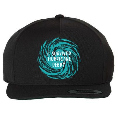 I Survived Hurricane Debby 2024 Florida Wool Snapback Cap