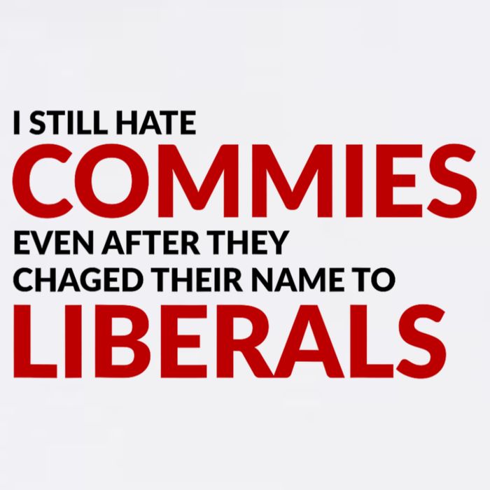 I Still Hate Commies Even After They Changed Their Name Premium T-Shirt