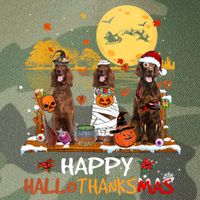 Irish Setter Happy Hallothanksmas Halloween Thanksgiving Legacy Tie Dye Trucker Hat