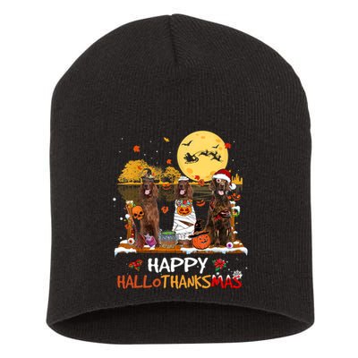 Irish Setter Happy Hallothanksmas Halloween Thanksgiving Short Acrylic Beanie