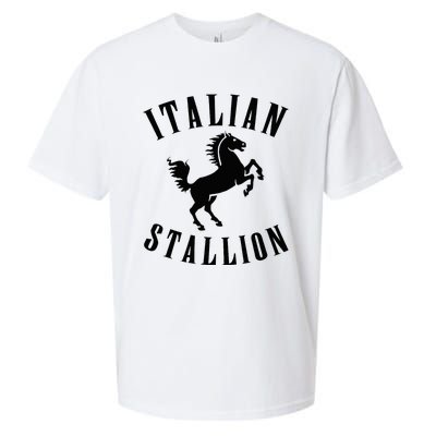 Italian Stallion Sueded Cloud Jersey T-Shirt