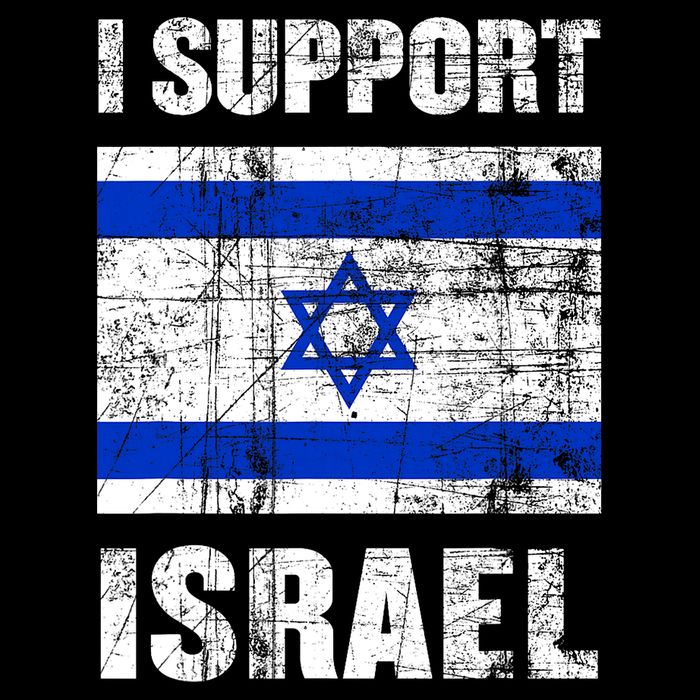 I Support Israel We Stand With Israel I Stand With Israel Wool Snapback Cap