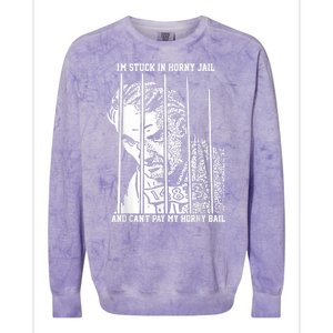 Im Stuck In Horny Jail And Cant Pay My Horny Bail Colorblast Crewneck Sweatshirt