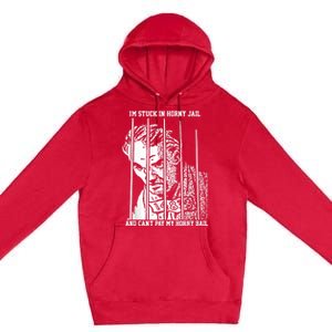 Im Stuck In Horny Jail And Cant Pay My Horny Bail Premium Pullover Hoodie