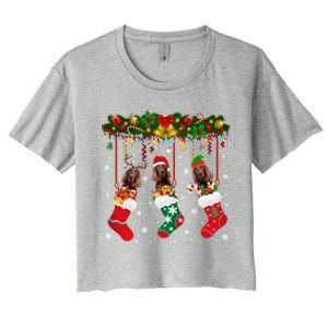 Irish Setter In Sock Xmas Reindeer Santa Elf Dog Gift Women's Crop Top Tee