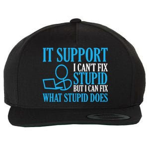 It Support I CanT Fix Stupid Design For Computer Techs Wool Snapback Cap