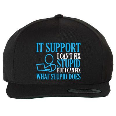 It Support I CanT Fix Stupid Design For Computer Techs Wool Snapback Cap