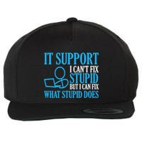 It Support I CanT Fix Stupid Design For Computer Techs Wool Snapback Cap