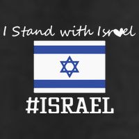 Israel Support Israel Stop War Support Israel No War Palestine Crop Fleece Hoodie