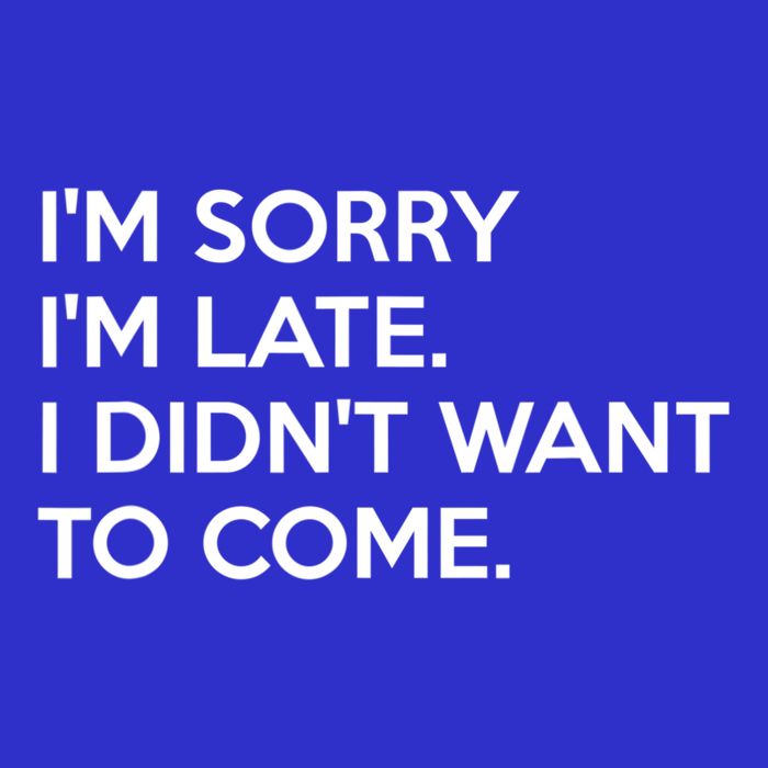 I'm Sorry I'm Late I Didn't Want To Come Cute Gift 16 in Basic Backpack