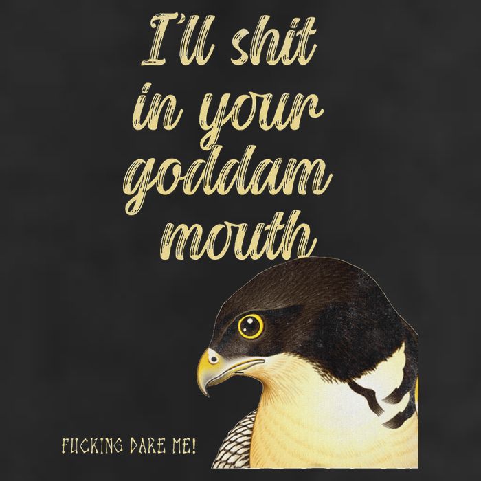 ILl Shit In Your Mouth Bird Dare Me Adult Drive Performance Visor