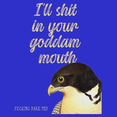 ILl Shit In Your Mouth Bird Dare Me T-Shirt
