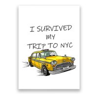 i survived my trip to nyc   Poster