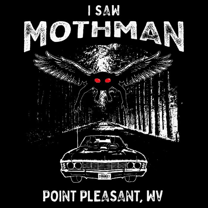 I Saw Mothman In Point Pleasant West Virginia Cryptid Sweatshirt