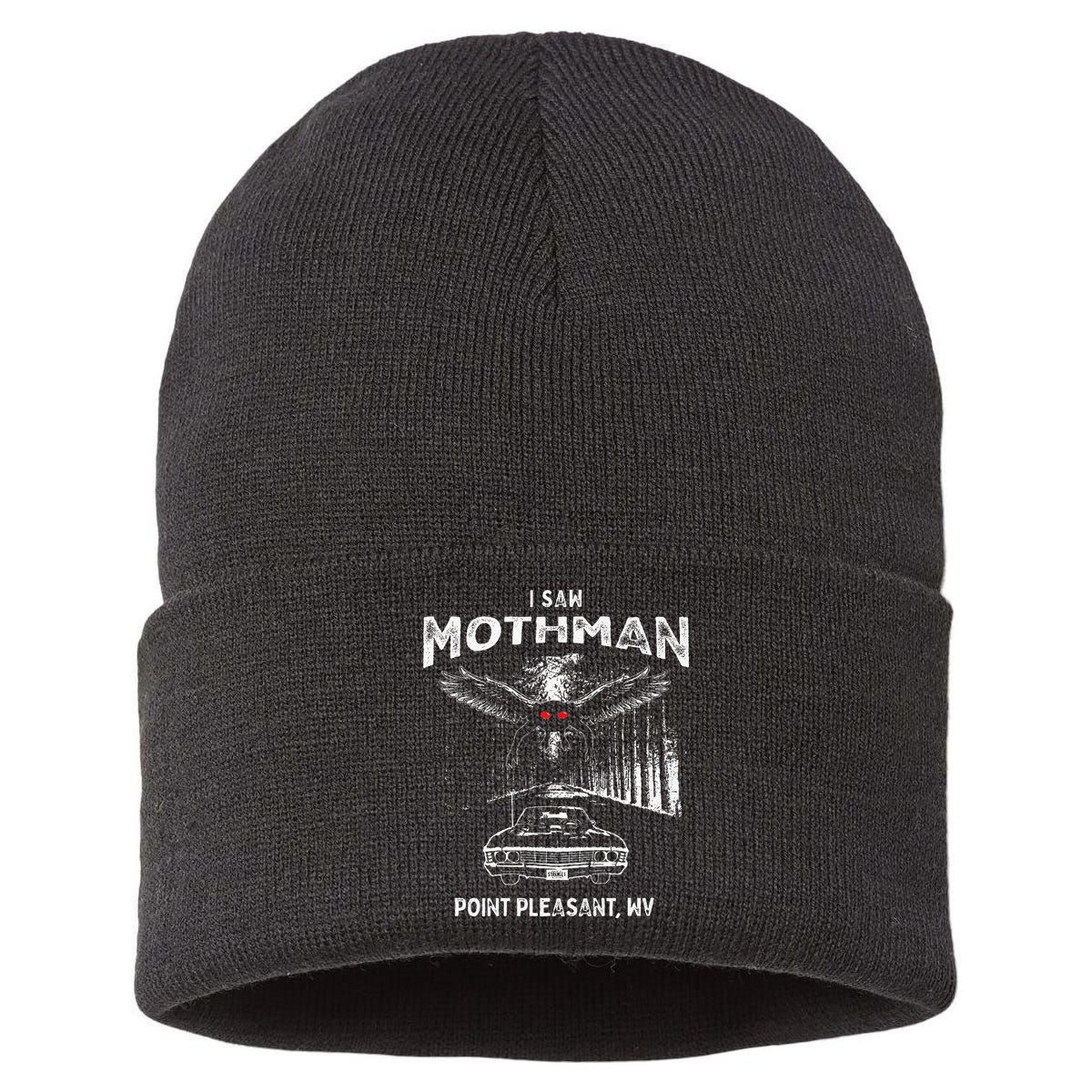 I Saw Mothman In Point Pleasant West Virginia Cryptid Sustainable Knit Beanie