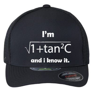 IM Sexy Math Humor IM Sec C And I Know It Flexfit Unipanel Trucker Cap