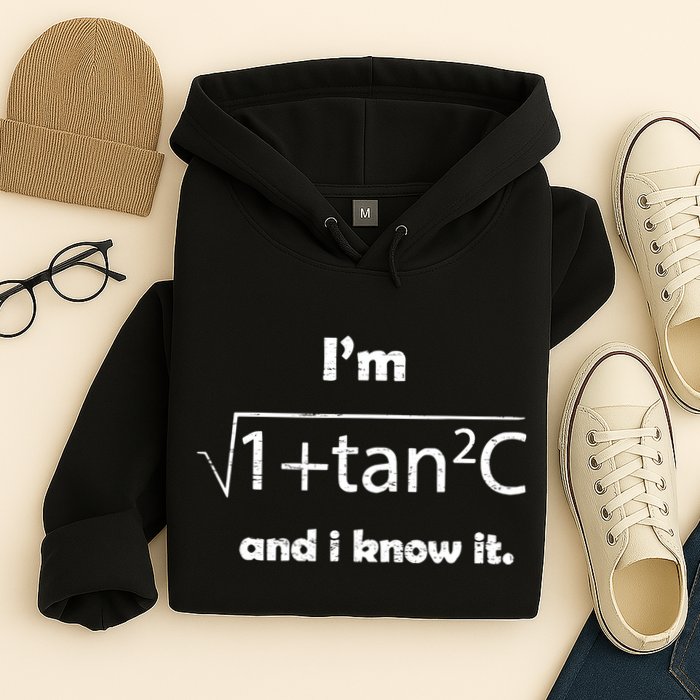 IM Sexy Math Humor IM Sec C And I Know It Hoodie