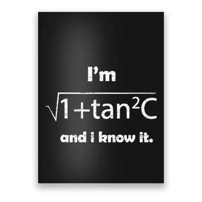 IM Sexy Math Humor IM Sec C And I Know It Poster