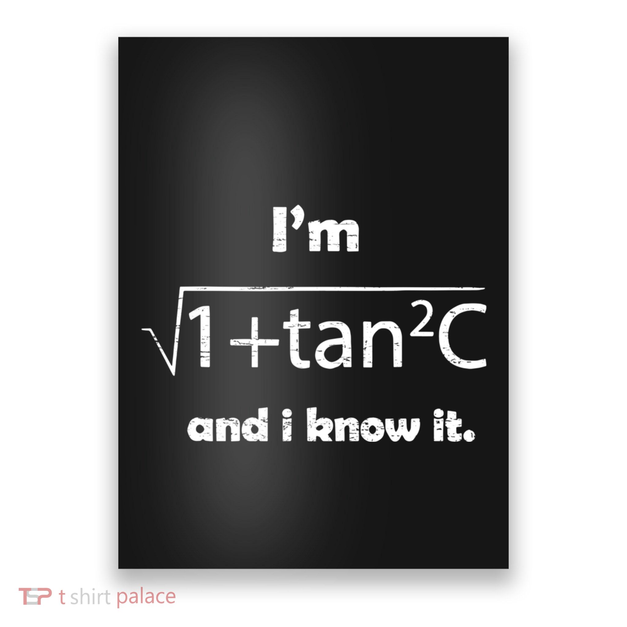IM Sexy Math Humor IM Sec C And I Know It Poster
