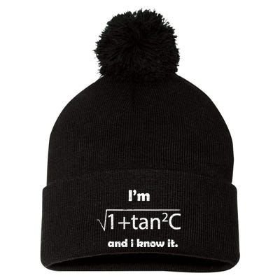 IM Sexy Math Humor IM Sec C And I Know It Pom Pom 12in Knit Beanie