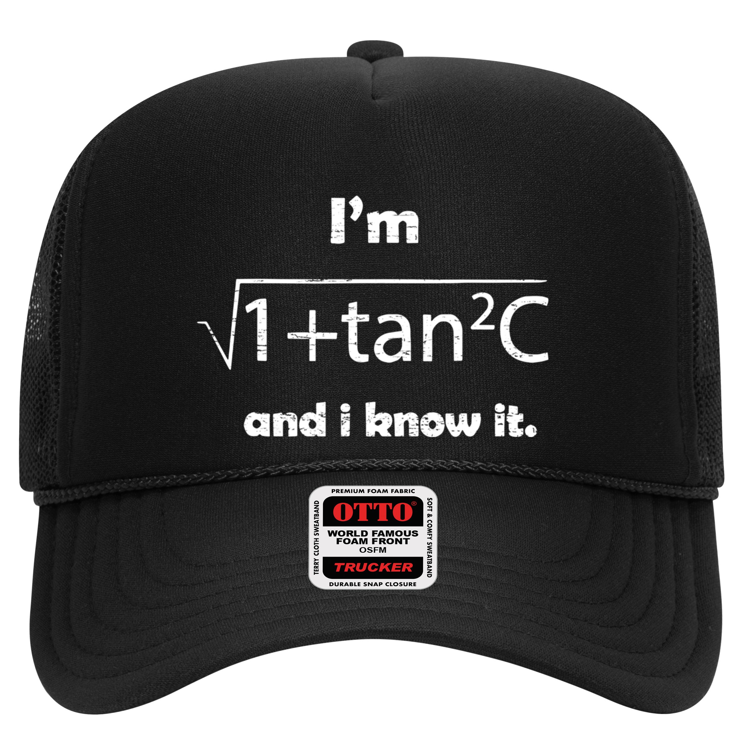 IM Sexy Math Humor IM Sec C And I Know It Hat