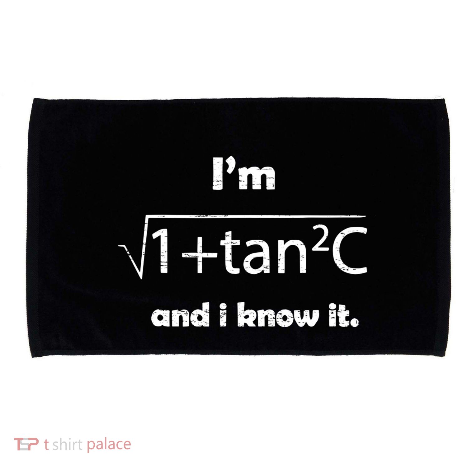 IM Sexy Math Humor IM Sec C And I Know It Microfiber Hand Towel
