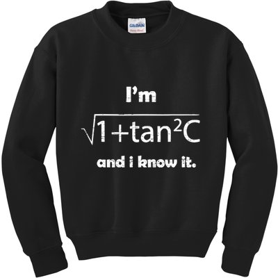 IM Sexy Math Humor IM Sec C And I Know It Kids Sweatshirt