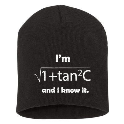 IM Sexy Math Humor IM Sec C And I Know It Short Acrylic Beanie