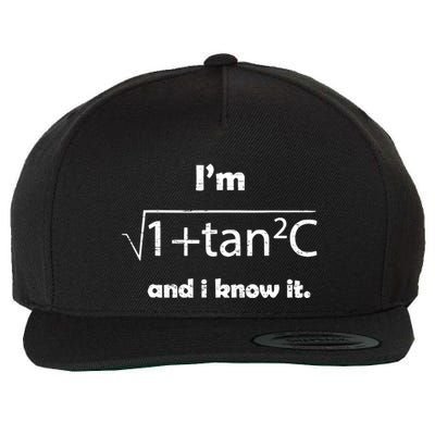 IM Sexy Math Humor IM Sec C And I Know It Wool Snapback Cap