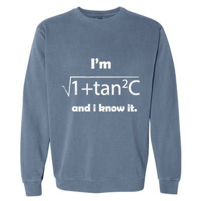 IM Sexy Math Humor IM Sec C And I Know It Garment-Dyed Sweatshirt