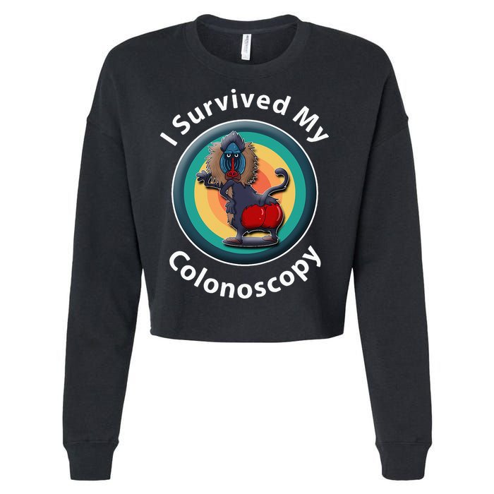 I Survived My Colonoscopy Survivor Hospital Patients Funny Cropped Pullover Crew