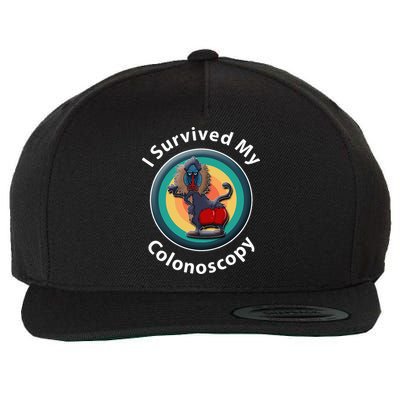 I Survived My Colonoscopy Survivor Hospital Patients Funny Wool Snapback Cap