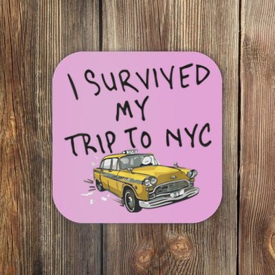 I Survived My Trip To NYC Coaster