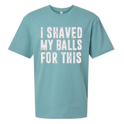 I Shaved My Balls For This Sueded Cloud Jersey T-Shirt