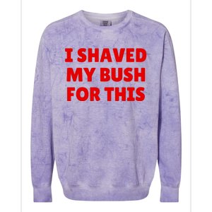 I Shaved My Bush For This Funny Pool Party Colorblast Crewneck Sweatshirt