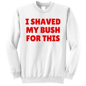 I Shaved My Bush For This Funny Pool Party Sweatshirt