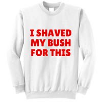 I Shaved My Bush For This Funny Pool Party Sweatshirt