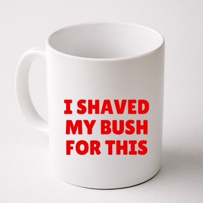 I Shaved My Bush For This Funny Pool Party Mug