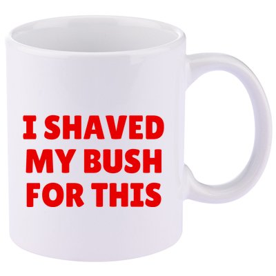 I Shaved My Bush For This Funny Pool Party 11oz C Handle Ceramic Mug