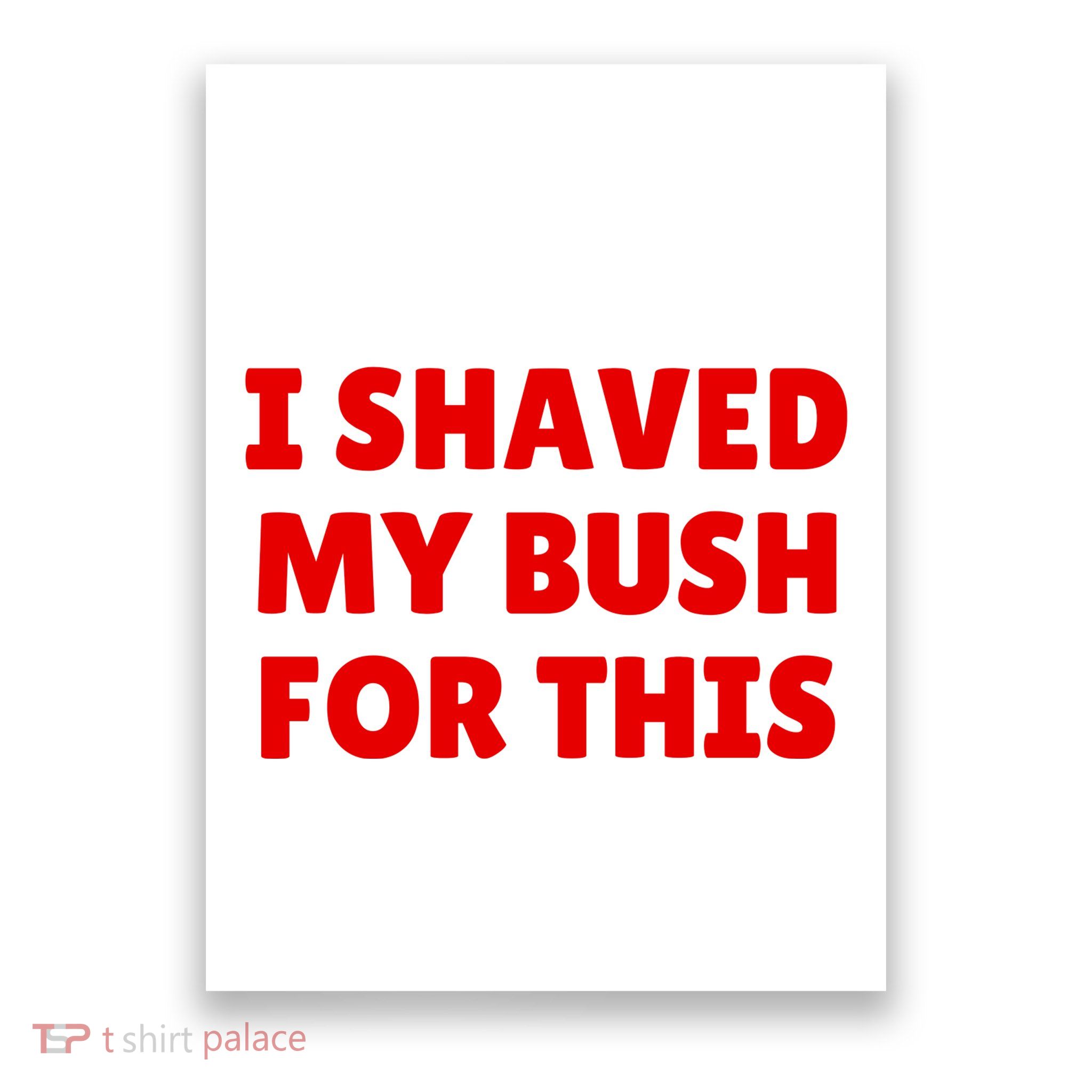 I Shaved My Bush For This Funny Pool Party Poster