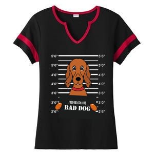 Irish Setter Mug Shot Bad Dog Mom Dad Gift Ladies Halftime Notch Neck Tee