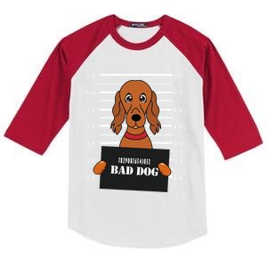 Irish Setter Mug Shot Bad Dog Mom Dad Gift Kids Colorblock Raglan Jersey